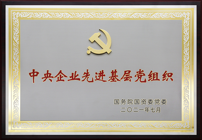 國珍松花粉-新時代健康產業（集團）有限公司成立于1995年3月，是中國新時代控股（集團）公司的控股子公司，總部設在北京，注冊資本1億元人民幣。公司是直銷行業內首批獲得直銷牌照的內資企業之一，也是行業內唯一一家央屬企業。